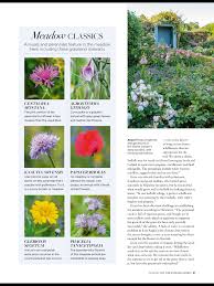 Pin By Patty Lamarche On Flowers To Grow Perennials The Meadows Green Leaves