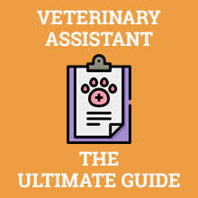 A set of working responsibilities ought to incorporate. How To Become A Veterinary Assistant Career Salary Training 2021 Updated