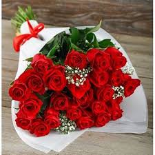 Rose Birthday Flowers For Her 25 Rose Bouquet Red Bouquet Birthday Flowers For Her Red Rose Love
