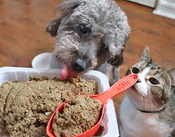 See more of dog cat delivery on facebook. Fresh Dog Food Delivery Service Review By Popular Pet Blogger My Beauty Bunny