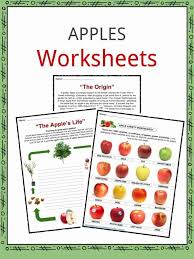 apple facts worksheets health benefits information for kids