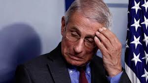 In these emails, fauci agreed to abide by the ccp's request that he keep one of its epidemiology according to judicial watch president tom fitton, the emails also show who and fauci's nih. F8pu4wu6jxcghm