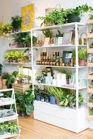 The Zen Succulent Plant Shop Corner Flower Shop Interiors Indoor Plants Plants