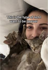 My type of heaven #fyp #kittensoftiktok