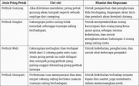 Bambu unik, bamboo, bambu antik, bambu petuk asli, new, terpopuler, hits petuk pikat, petuk talirogo, petuk pekik langkah, bambu bertuah, paul hendrawan, bambu badar, bambu. Inilah 8 Jenis Bambu Bertuah Dengan Beragam Khasiat Luar Biasa