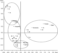 Image result for Justicia tenella