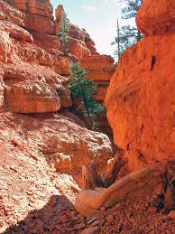 Перевод слова ravine, американское и британское произношение, транскрипция, словосочетания, примеры использования. Narrow Ravine Red Canyon Utah