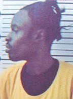 Convicted felon fires shots at local hotel