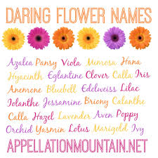 Daring Flower Names Are A Huge Category From Vintage Picks Like Dahlia To Rarely Used Possibilities Like Edelweiss Flower Names Unique Girl Names Girl Names