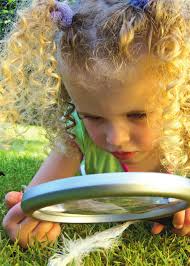 Faglig rapportering 2013