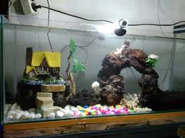 Aneka model meja aquarium jati jepara minimalis modern dan ukiran harga murah mulai 3 jutaan.meja aquarium modern dari ukuran 120 sampai 2. Kanzu Aquarium Aneka Ikan Hias