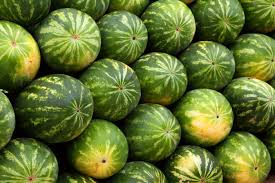 Schneide die wassermelone in zwei hälften. Wassermelone Saen Pflegen Schneiden Und Ernten