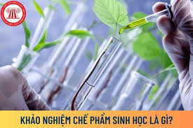 Khảo nghiệm chế phẩm sinh học là gì? Báo cáo kết quả khảo nghiệm chế phẩm  sinh học phải có đủ các nội dung gì?