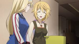 pin on infinite stratos