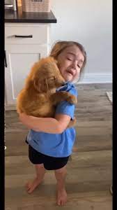 Little girl sobs as she holds her new puppy | 😥 Tag your friends and  family💖 Follow to grow our community❤️❤️ Credit unknown🙏 #instagood  #instadog #usaprimeshot #retriever #doglover #funnydogs #cutedogs  #petlovers #cutegolden #