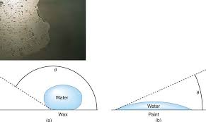 11 9 Cohesion And Adhesion In Liquids Surface Tension And Capillary Action Physics Libretexts