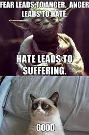 We did not find results for: Stars With Quotes Grumpy Cat Quotesgram