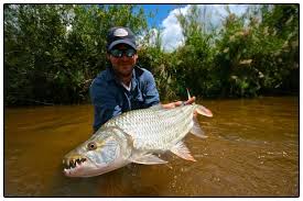 The new series of river monsters starts on itv1 on november 2 at 7.30pm. Monster Tigerfish On The Fly Articles Fly Dreamers