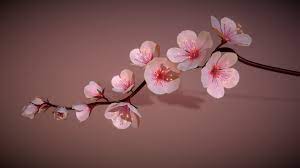 Cherry Blossoms Branch Rigged Animated By Pinotoon In 2020 Cherry Blossom Branch Cherry Blossom Blossom