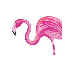 Flamingo Canvas Online Wall Art Abstract Wall Art Sale Artwork