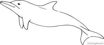 River and animal nature coloring page | river drawing, water drawing, cool art drawings Easy River Dolphin Coloring Page Coloringall