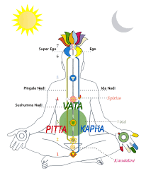 Vata Pitta Kapha Doshas Vedic Institute Of Canada