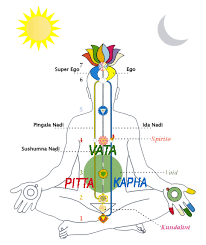 vata pitta kapha doshas vedic institute of canada