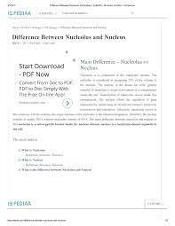 What is the difference between animal and bacterial cells with respect to the presence of nucleus ? Pdf Difference Between Nucleolus And Nucleus