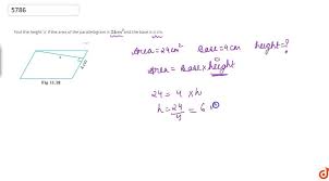 Both the side (the segment) and its length (the measurement) are called the base. Find The Height X If The Area Of The Parallelogram Is 24 Cm 2