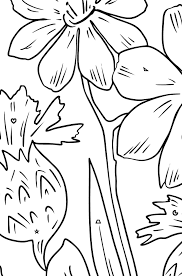 Free printable & coloring pages. Coloring Page Flowers In The Meadow Free Online