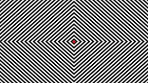 Image result for illusion pictures