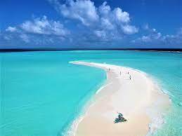 An Amazing Week Diving In The Maldives With Carpe Diem Liveaboards Beaches In The World Maldives Beach Maldives Budget