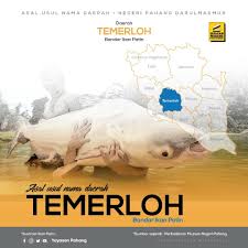 Melayu yang diadakan di pusat negeri pahang dan ini sangat membantu dalam. Asal Usul Nama Daerah Temerloh Kenapa Ianya Diberi Nama Temerloh