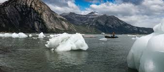Climbing, surfing, skiing and snowboarding, fly fishing, and trail running. Australis Cape Horn Patagonia