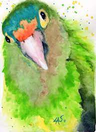 Perico Frente Naranja O Perico Atolero Arte De Acuarela Pintura Acuarela Arte De Aves