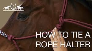 Classic equine braided rope halter with lead riding warehouse for the first time, riding warehouse has been invited to film at. How To Tie A Rope Halter Youtube