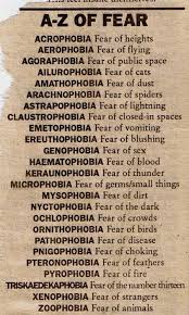 Androphobia Fear Of Men Gynaecophobia Fear Of Women Kleptophobia Fear Of Theft There S No End To Fears Words Writing Words Phobias