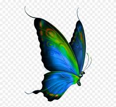Asiatic peafowl feather bird, peacock feather, peacock feather, watercolor painting, painted png. Peacock Feather Png Transparent Images Butterfly Clipart 3735713 Pinclipart