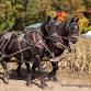 Safe Trick-Or-Treating @KrochmalFarms 2025 event image