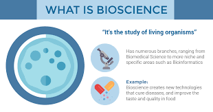 🤝 what companies are hiring for biomedical engineering jobs in malaysia? Is Biomedical Science In Demand In Malaysia