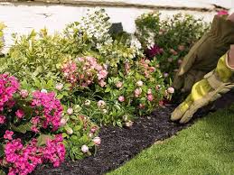 What is the best mulch for my garden. Best Garden Mulches Of 2021