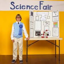 Biology Science Fair Projects For 8th Grade 8th Grade Science Fair Projects Middle School Science Fair Projects Kids Science Fair Projects Science Fair