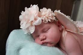 Candice Meador Photography