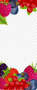 Blackberry Border Png Images Pngwing Drop, white fresh water drop border texture png. blackberry border png images pngwing