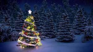How To Start A Christmas Tree Farm | Truic