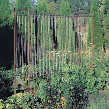 Pin On Vegetable Garden