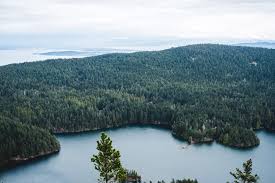 Maybe you would like to learn more about one of these? 6 Seattle Day Trips With Itineraries City Island Nature Adventures