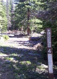 Enter the parks via highway 180 if your vehicle is over 22 feet (6.7 m) long. Arapaho Roosevelt National Forests Pawnee National Grassland Caribou Dispersed Camping Area Camping Area State Forest Camping Trips