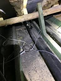 Two pest controllers have been found dead at a poultry processing factory in norfolk following a suspected chemical spill. Norfolk Pest Control Pest Extermination From Millennium Pest Control