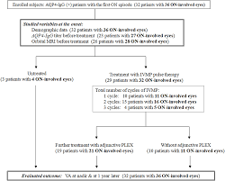 Frontiers Rapid Administration Of High Dose Intravenous Methylprednisolone Improves Visual Outcomes After Optic Neuritis In Patients With Aqp4 Igg Positive Nmosd Neurology